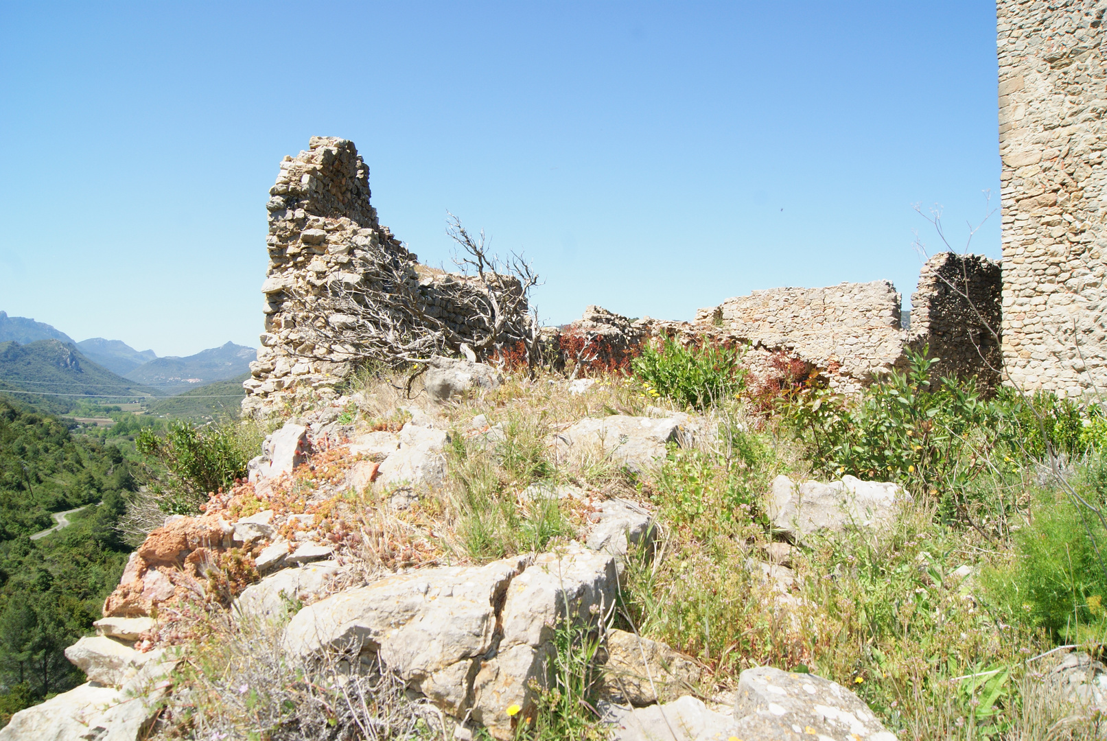 Chateau de Padern (8)