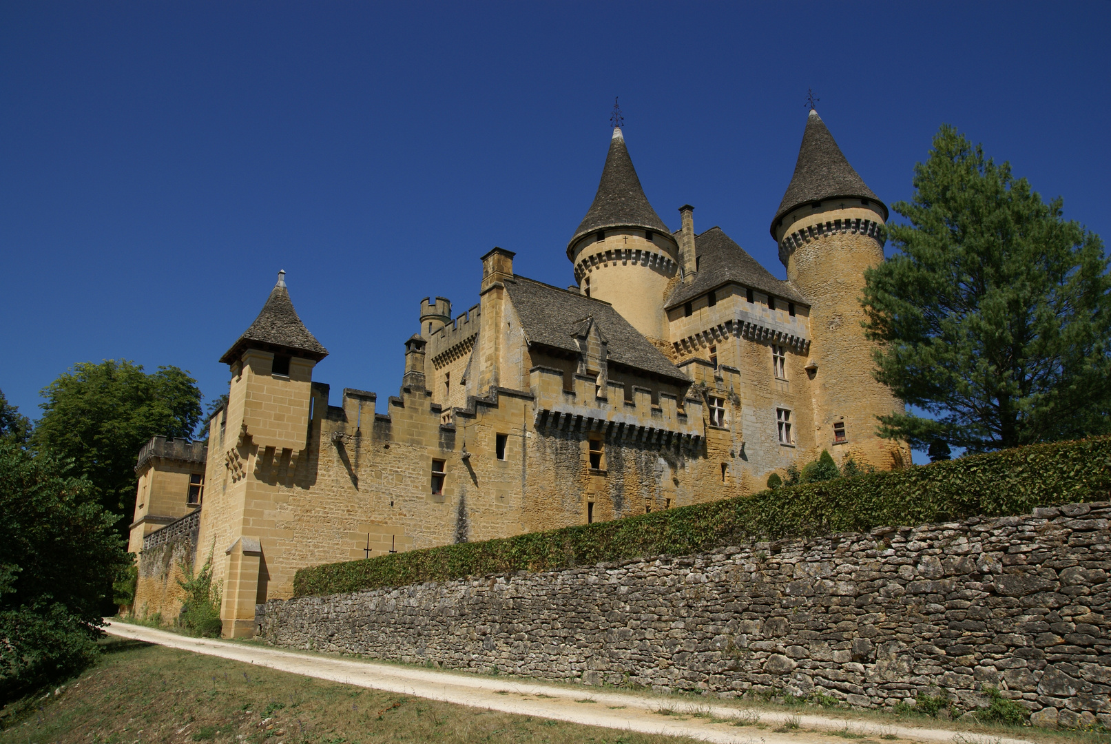 Chateau de Puymartin