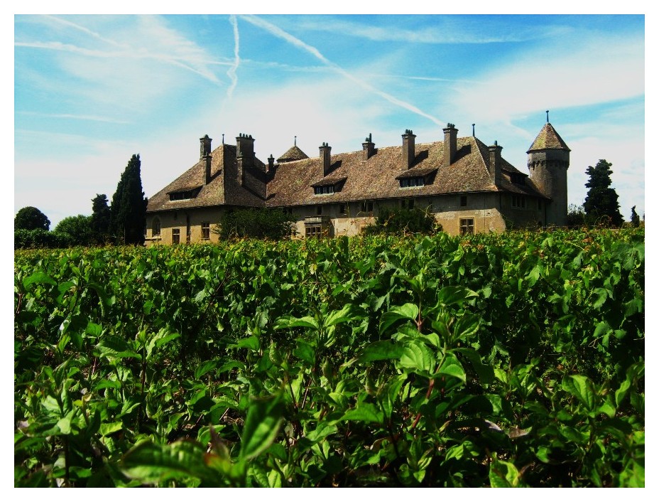 Chateau de Ripaille ( près de THONON LES BAINS )