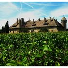 Chateau de Ripaille ( près de THONON LES BAINS )