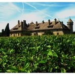 Chateau de Ripaille ( près de THONON LES BAINS )