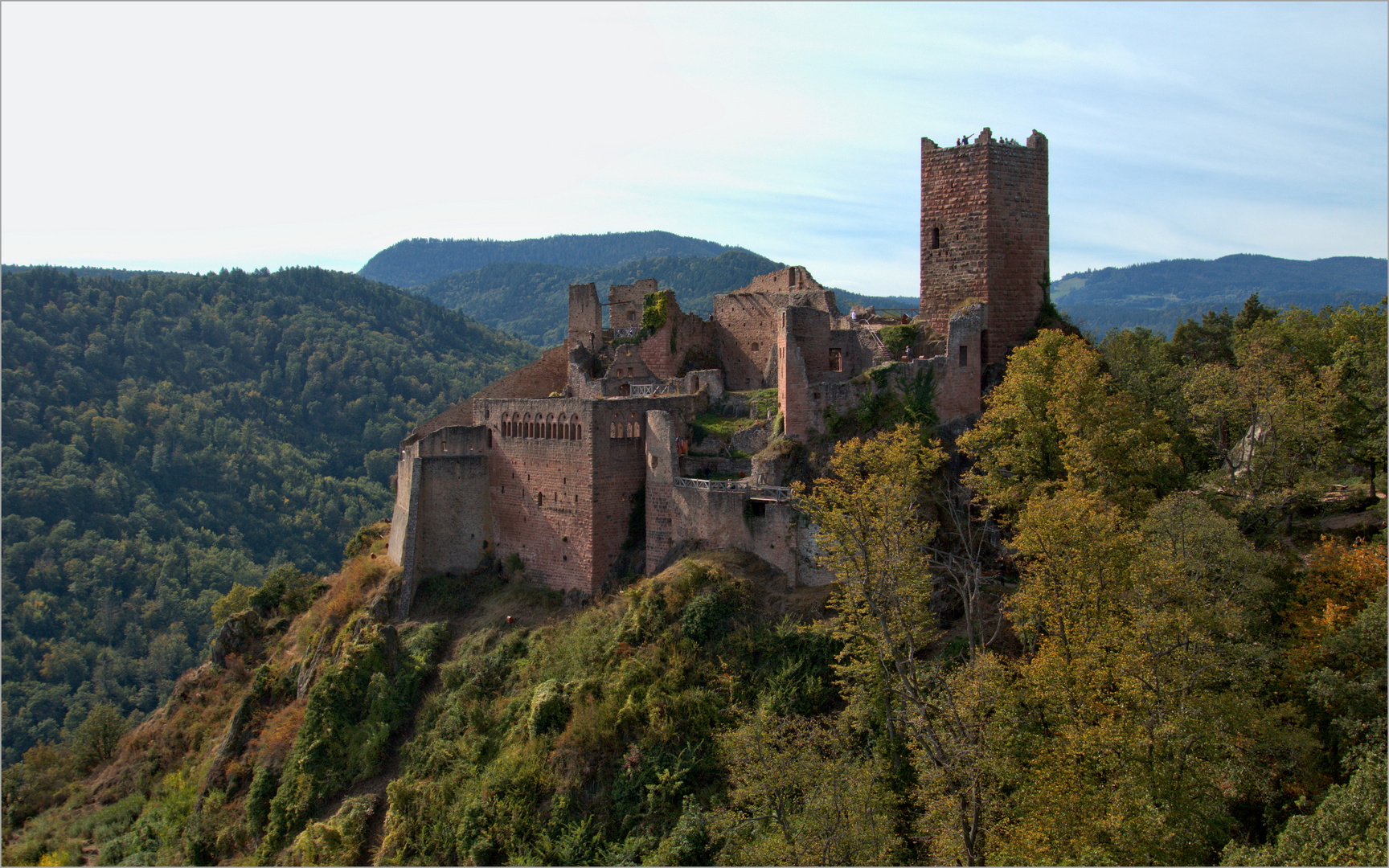 Chateau de Saint Ulrich Foto & Bild wald, schloss, burg Bilder auf
