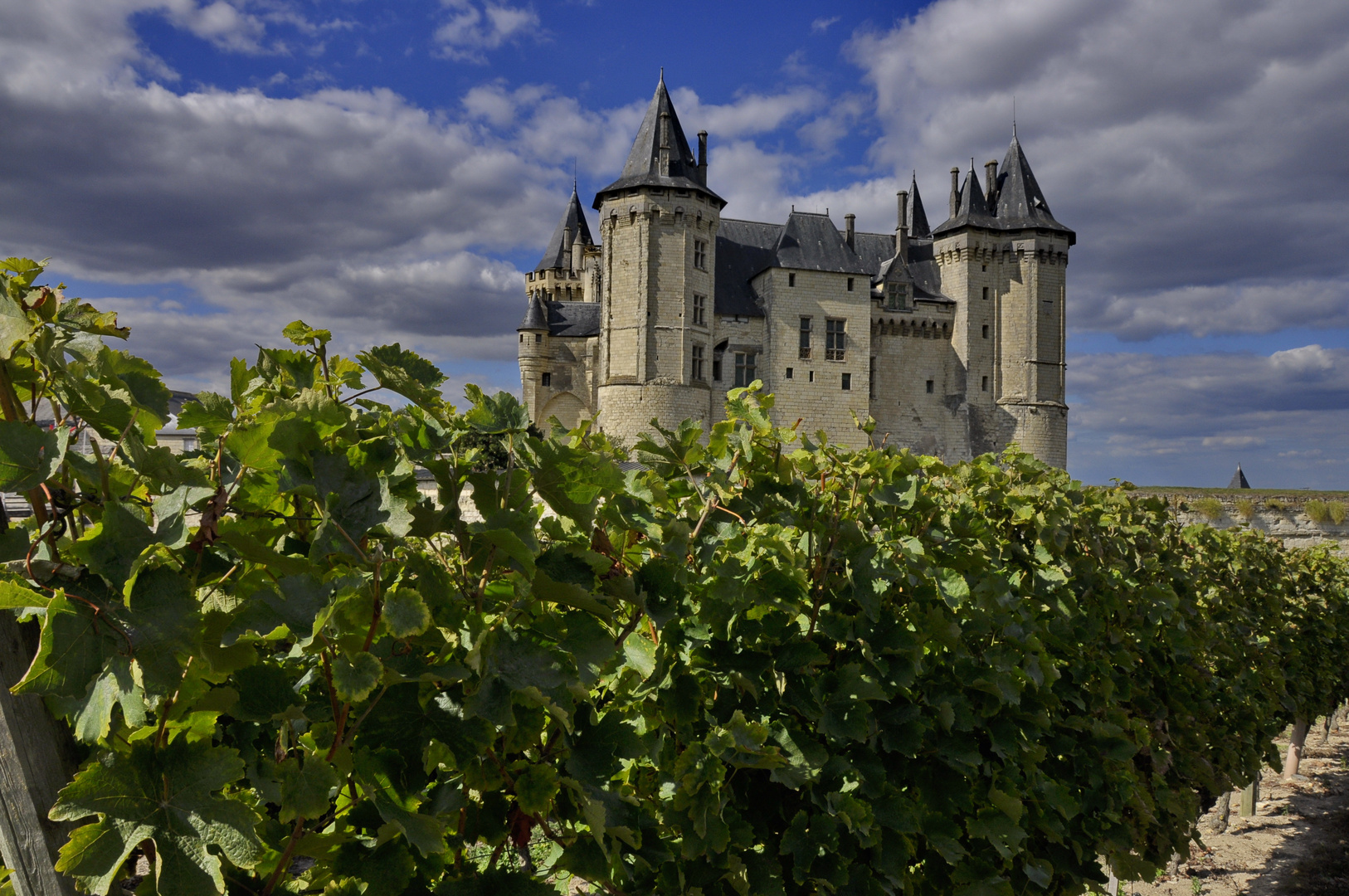 CHATEAU  DE  SAUMUR AU BORD DE LA LOIRE