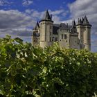 CHATEAU  DE  SAUMUR AU BORD DE LA LOIRE