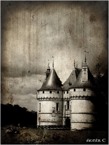 Chateau de Sully sur Loire