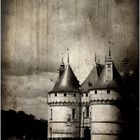 Chateau de Sully sur Loire