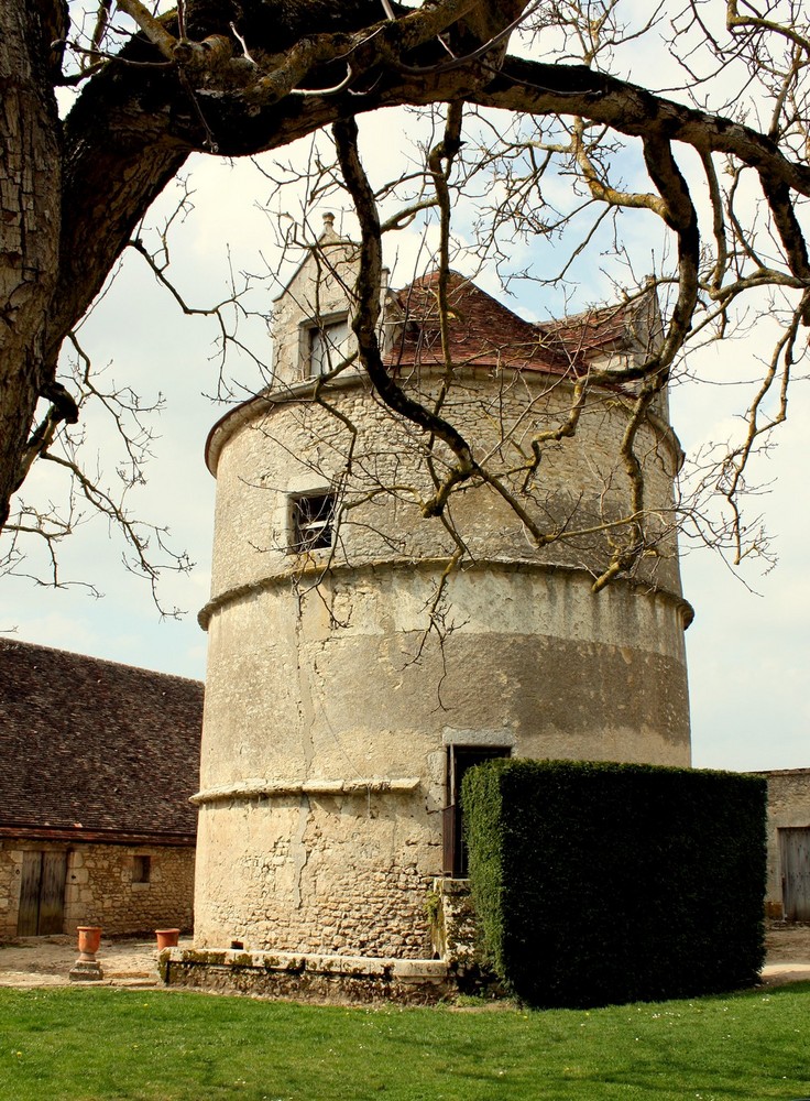 CHATEAU DE TALCY (41) LE PIGEONNIER