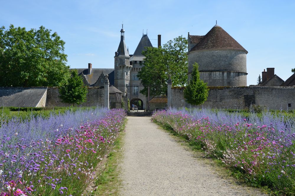 CHATEAU DE TALCY (41) Vue du parc