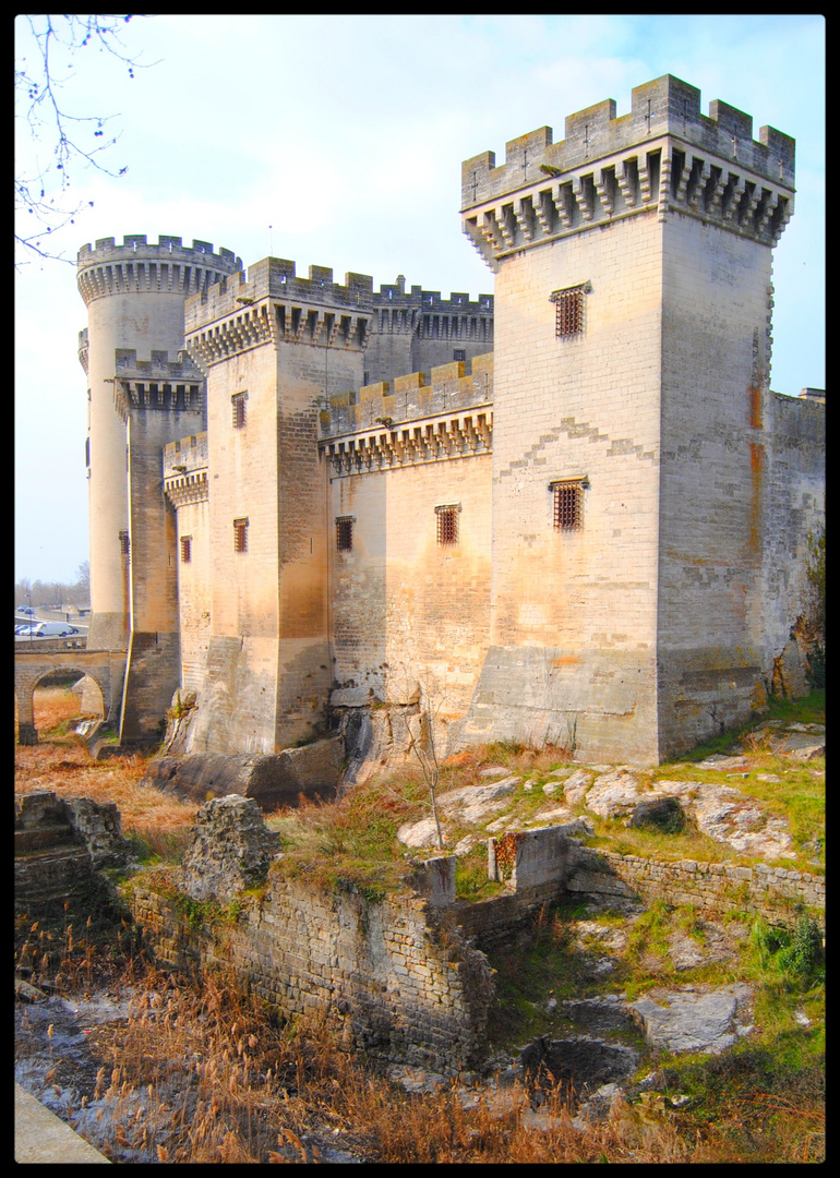 Chateau de Tarascon (13)