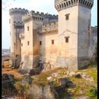 Chateau de Tarascon (13)