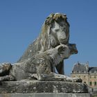 Chateau de Vaux le Viconte Avril 2007