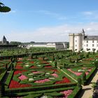 Chateau de Villandry !