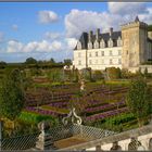 Chateau de Villandry