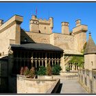 CHATEAU D'OLITE