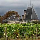 CHATEAU IM WEINBERG-AUSONE-FRANKREICH