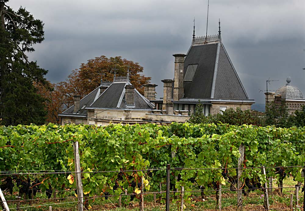 CHATEAU IM WEINBERG-AUSONE-FRANKREICH