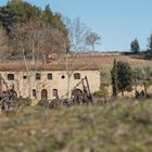 Chateau la Canorgue (La Siroque)