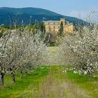 chateau Lourmarin