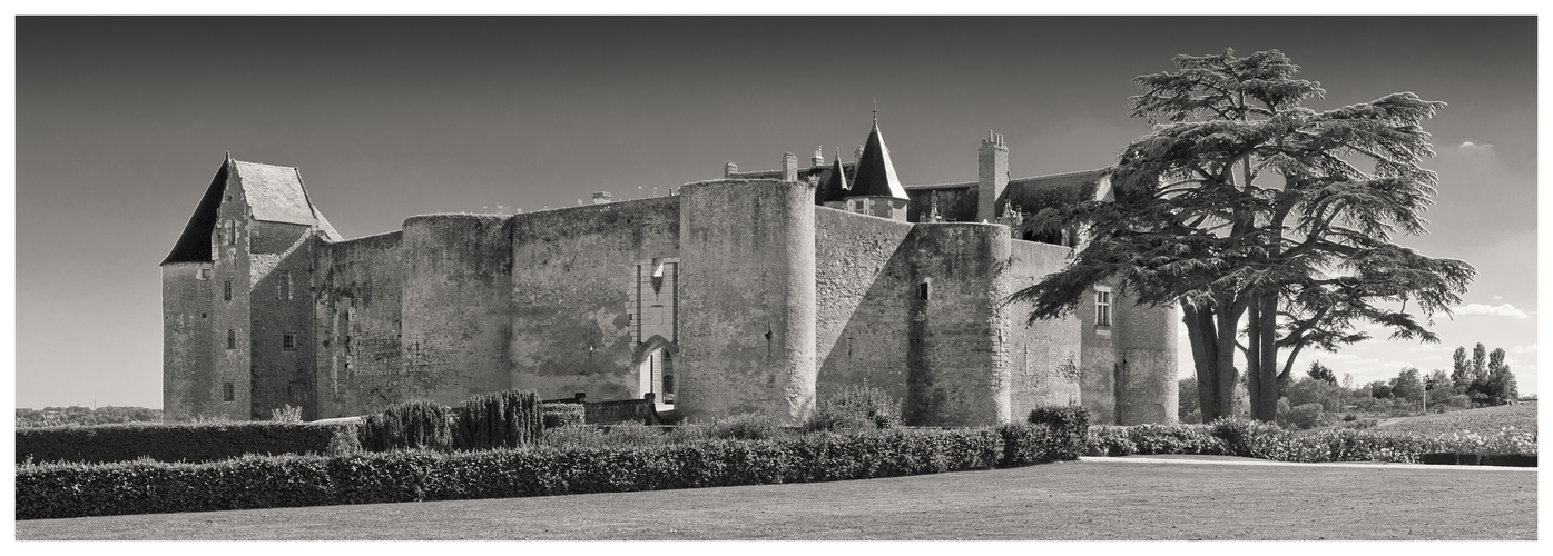 Chateau Luynes