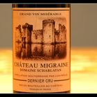 Chateau Migraine