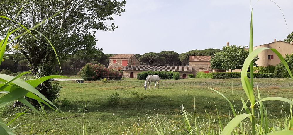 ~ Chateau Pampelonne ~