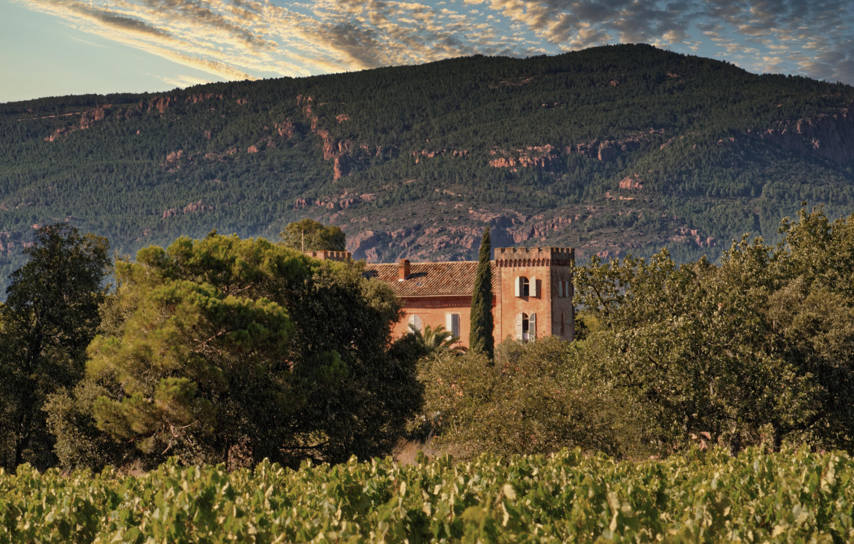 Chateau Vaucouleurs