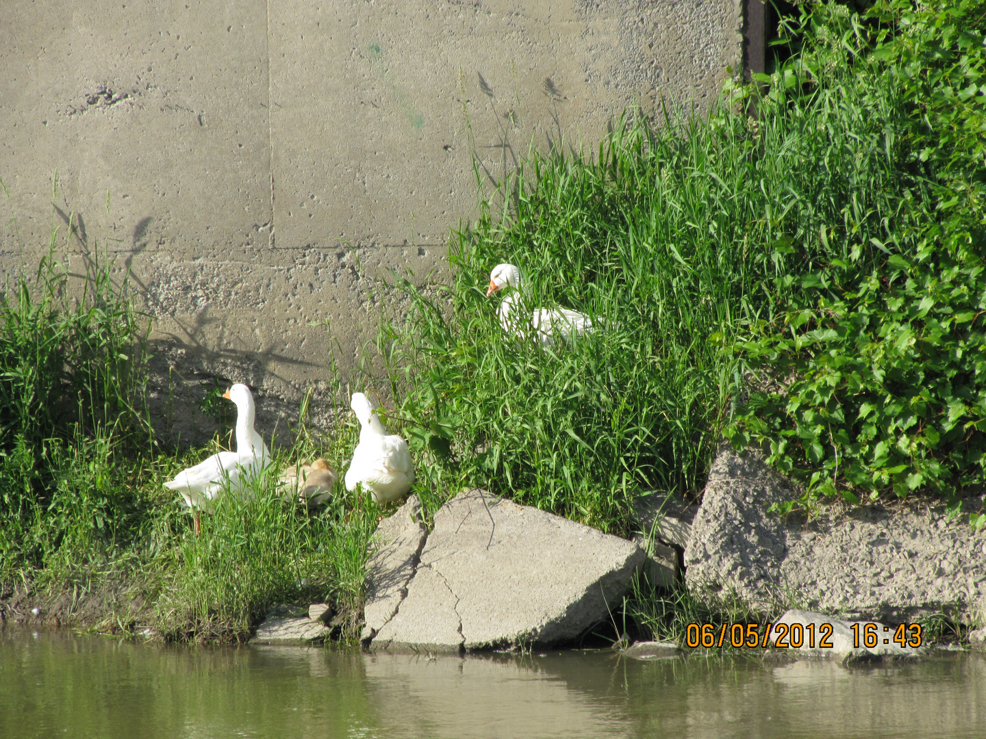 Chateauguay River 4