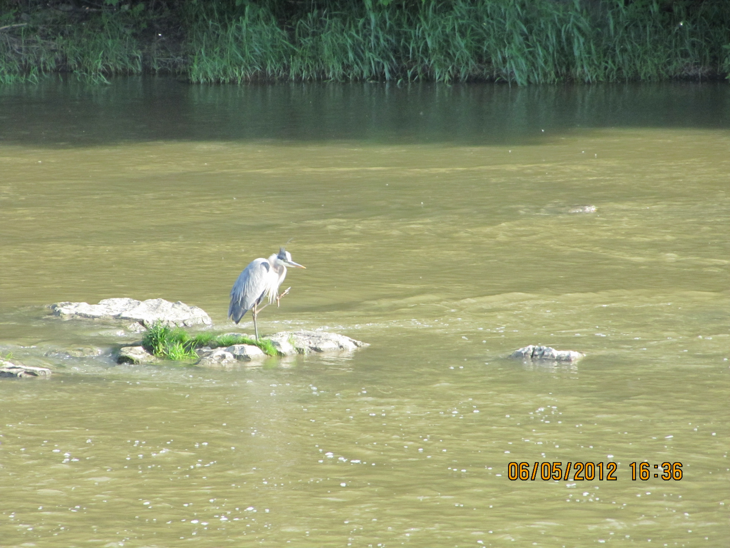 Chateauguay River