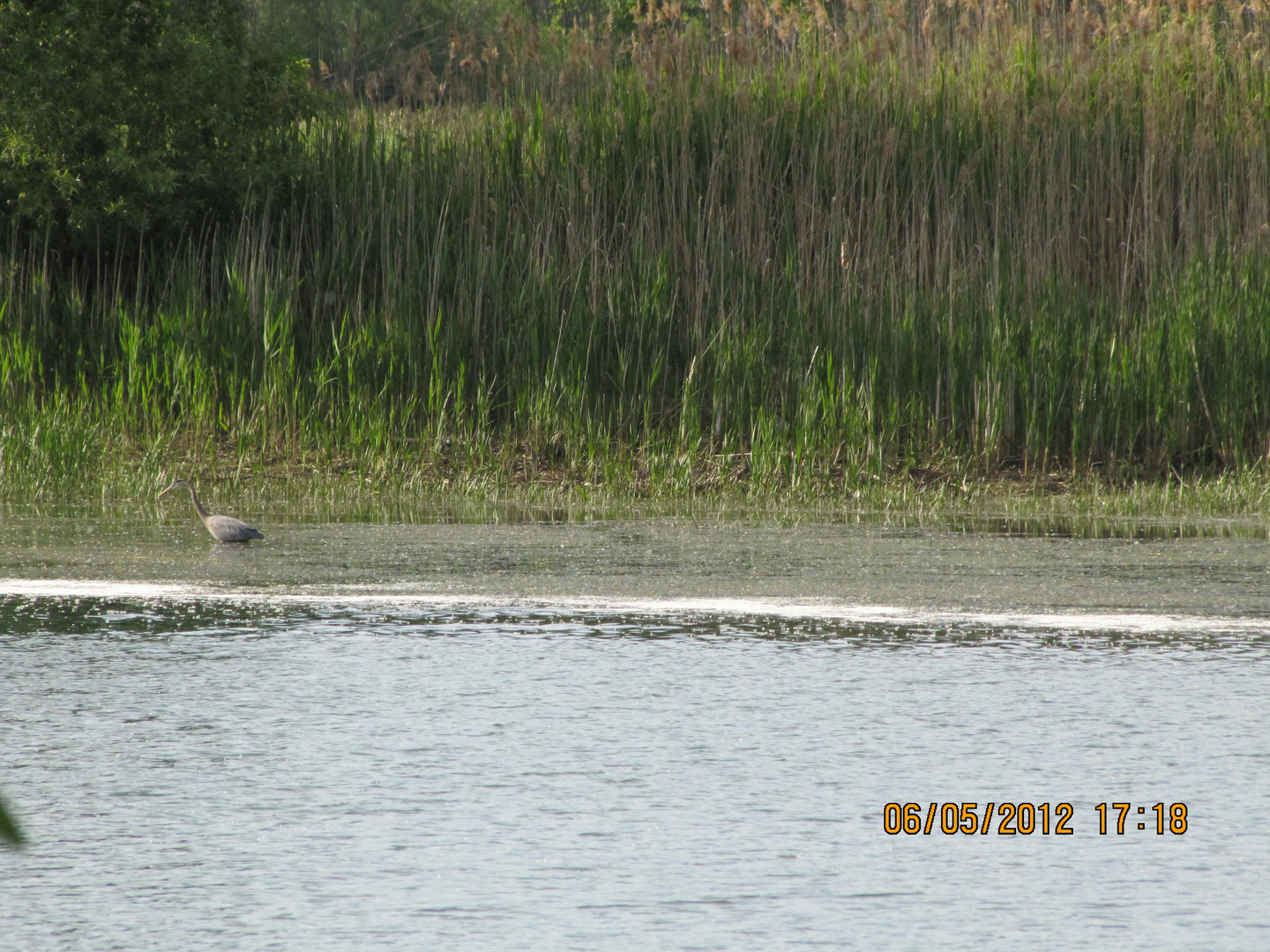 Chateauguay River 5