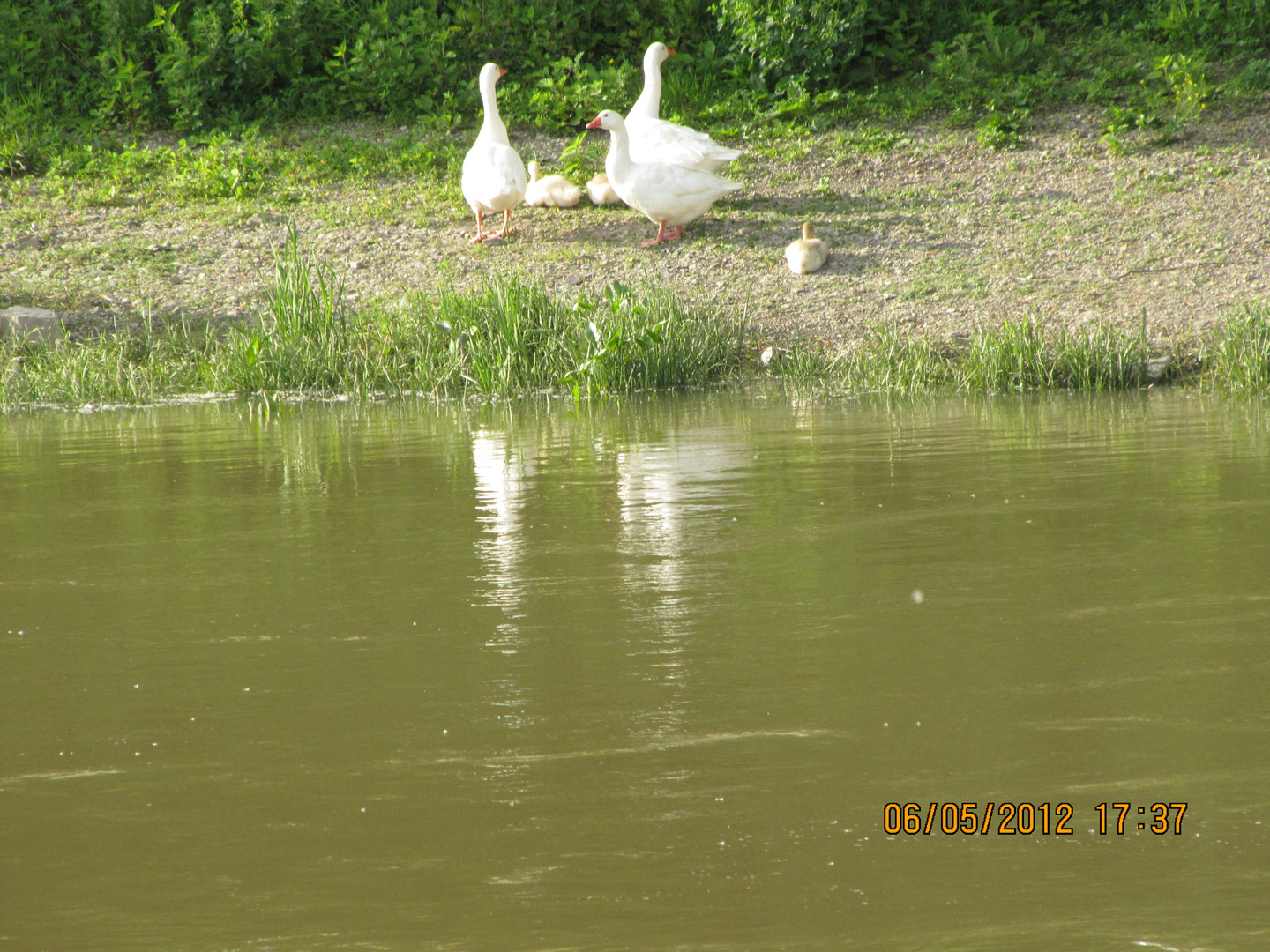 Chateauguay River 9