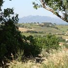 Chateauneuf-du-Pape Provence