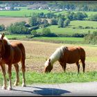 CHATEAUNEUF - EN - AUXOIS - 7 -