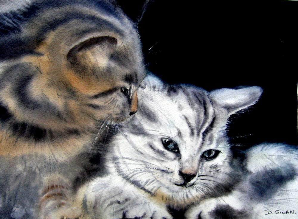 chats à l'eau