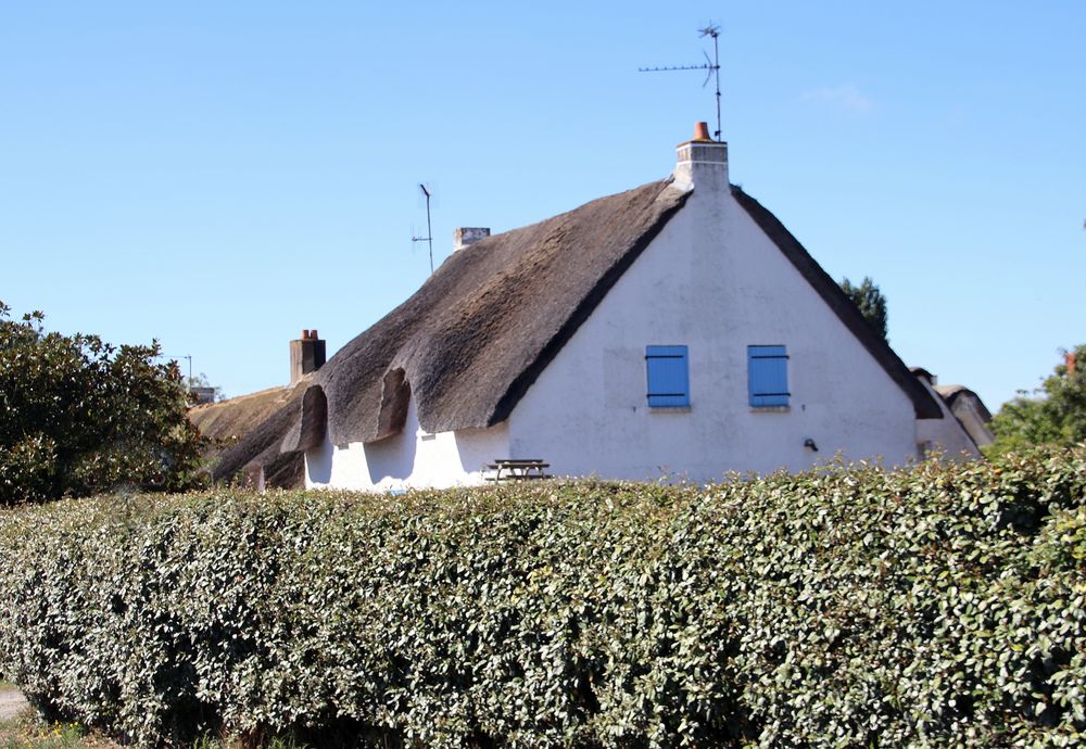 Chaumière Brièronne 1