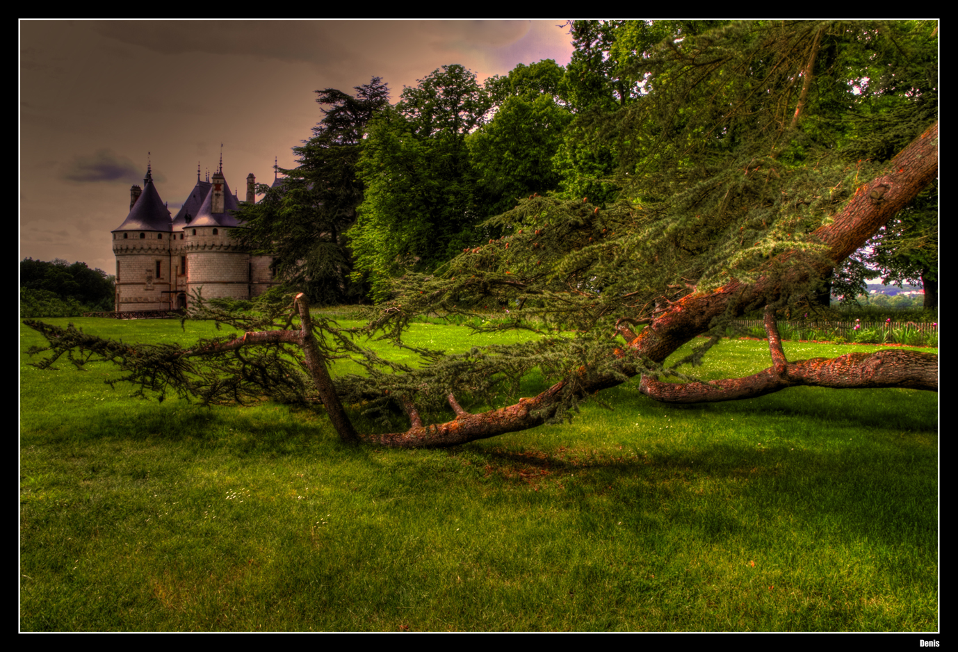 ... Chaumont sur Loire ...