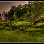 ... Chaumont sur Loire ...