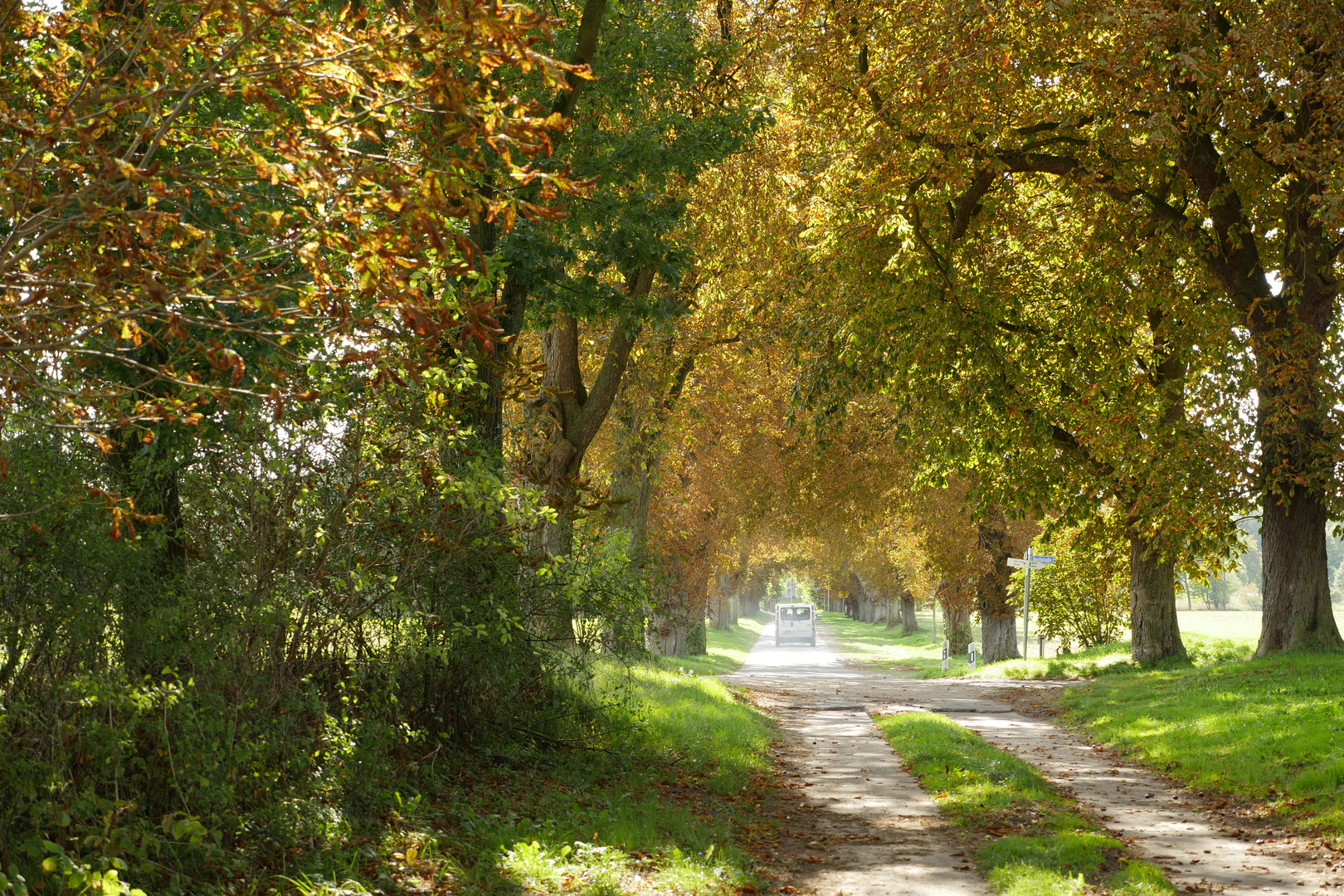 Chaussee nach Hugoldsdorf