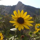 Chautauqua Park, Boulder