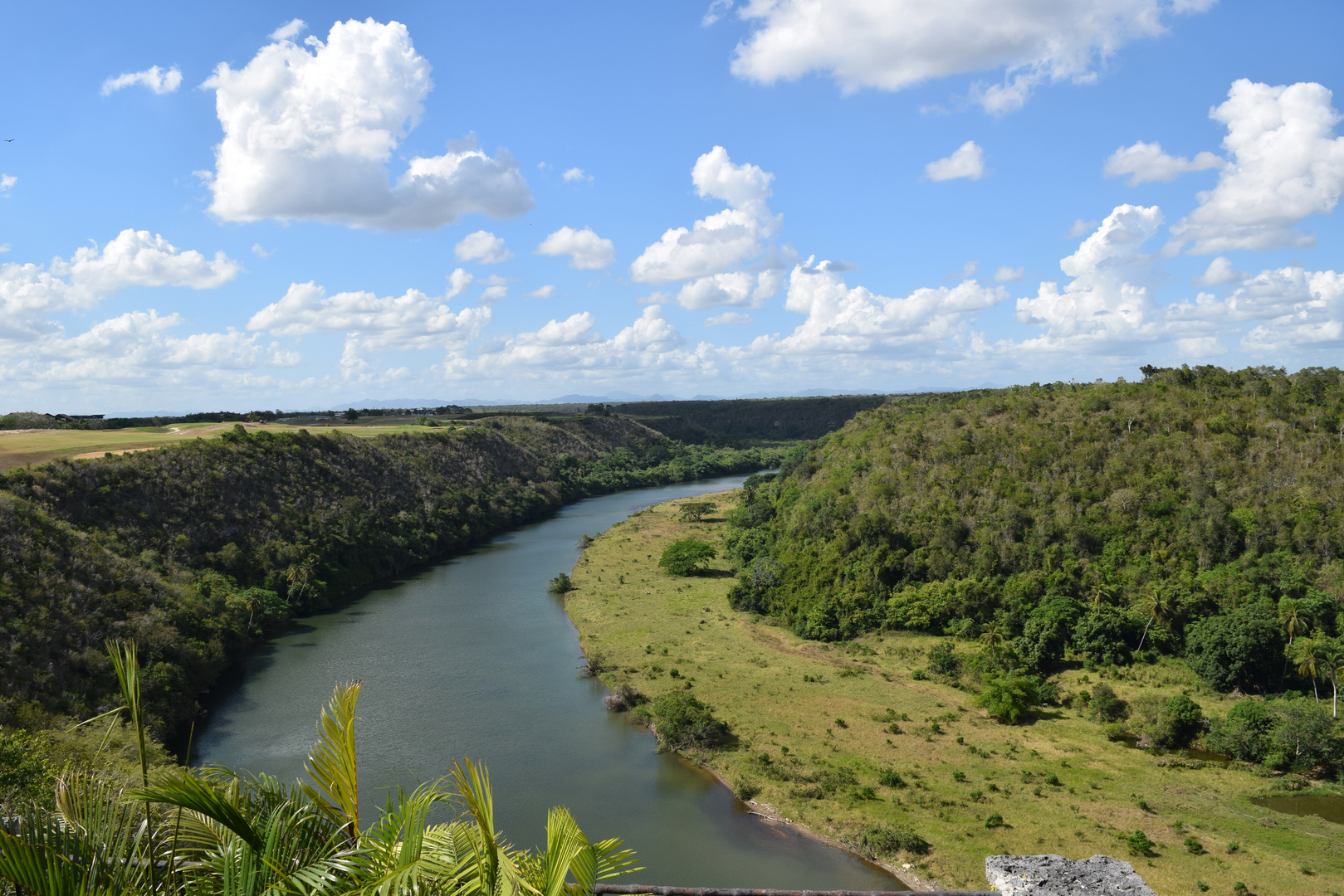 Chavon