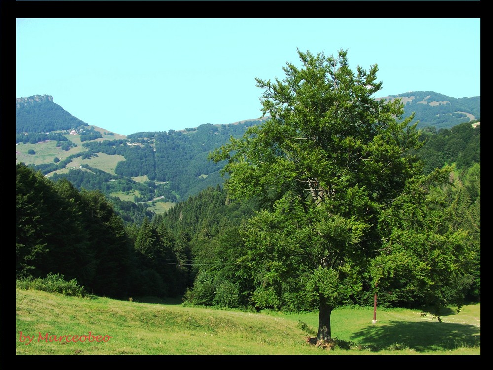 Che bella la montagna.