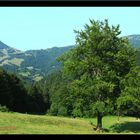 Che bella la montagna.