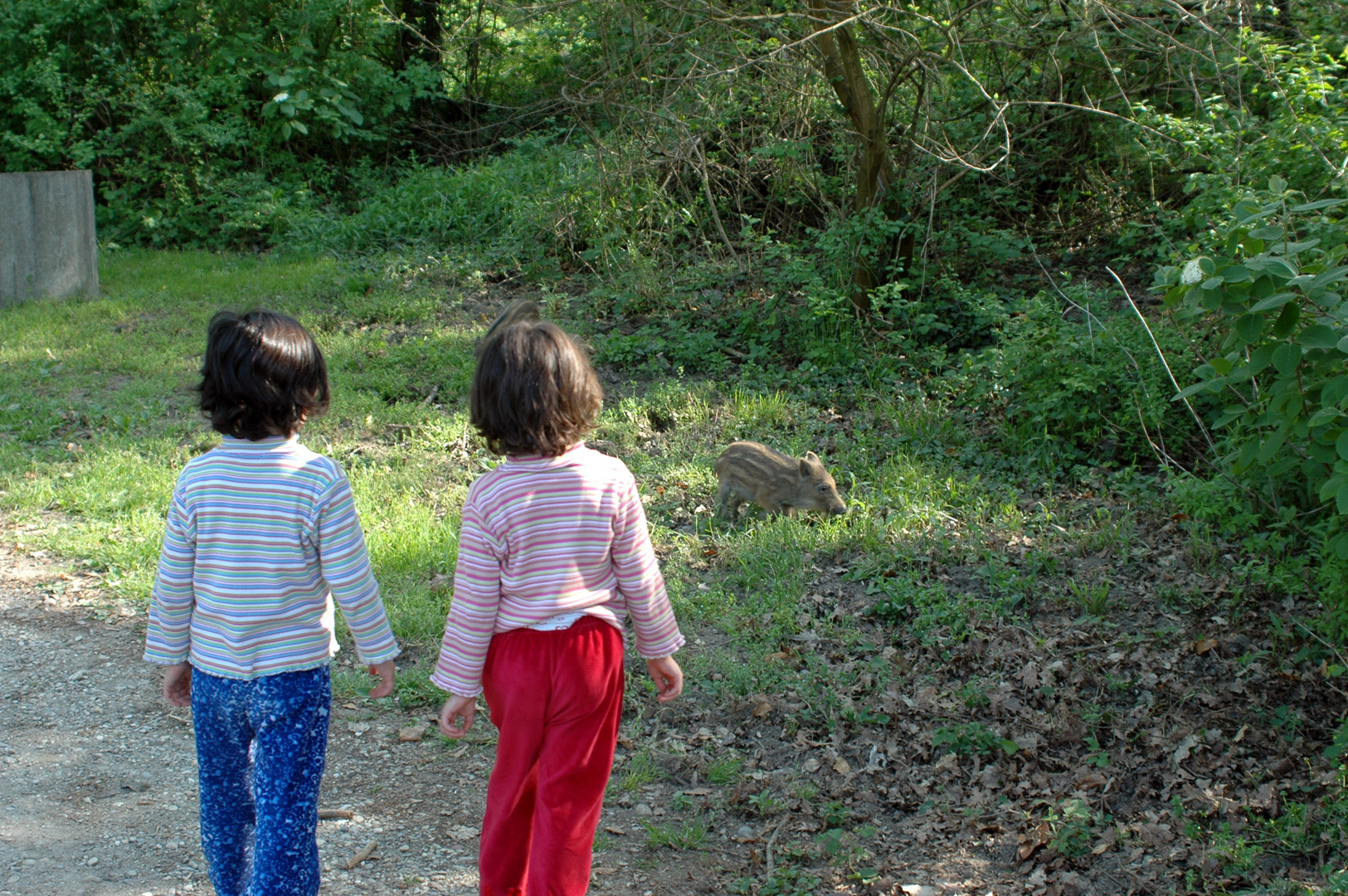 Che carino!......Morderà?