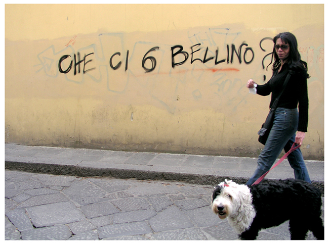 Che dire.....strani incontri...Strane scritte.......