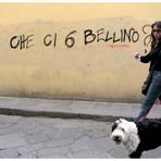 Che dire.....strani incontri...Strane scritte.......