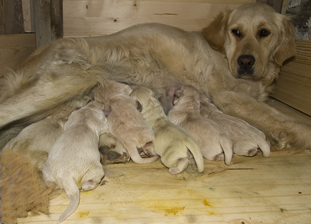 Che fatica... ma che bello essere mamma!!