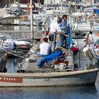 Che fine ha fatto Luna rossa? - Barcolana 2010