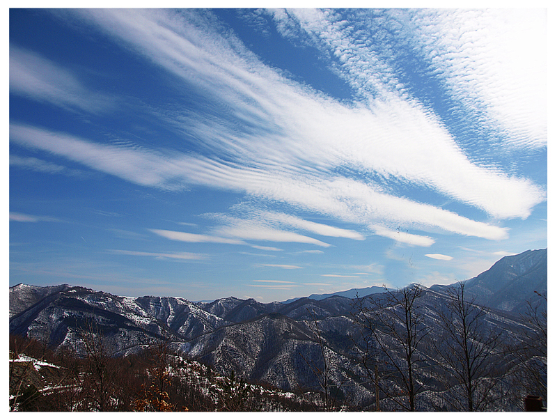 Che meraviglia poter rivedere il Cielo.......