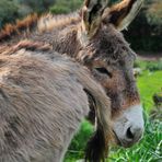 Che ne diresti di spostarti un pò ?