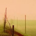 che nebbia confonde in silenzio