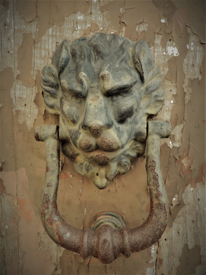 Check Point C....Cat & Cat: A handle with a lion's head - Photo no. 8